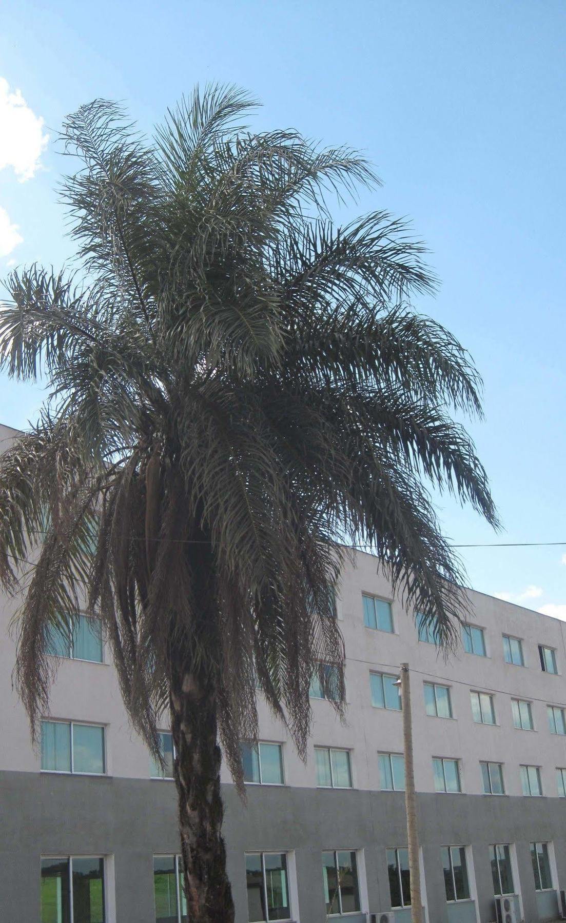 São Brás do Suaçuí Hotel Mirante Sao Bras מראה חיצוני תמונה
